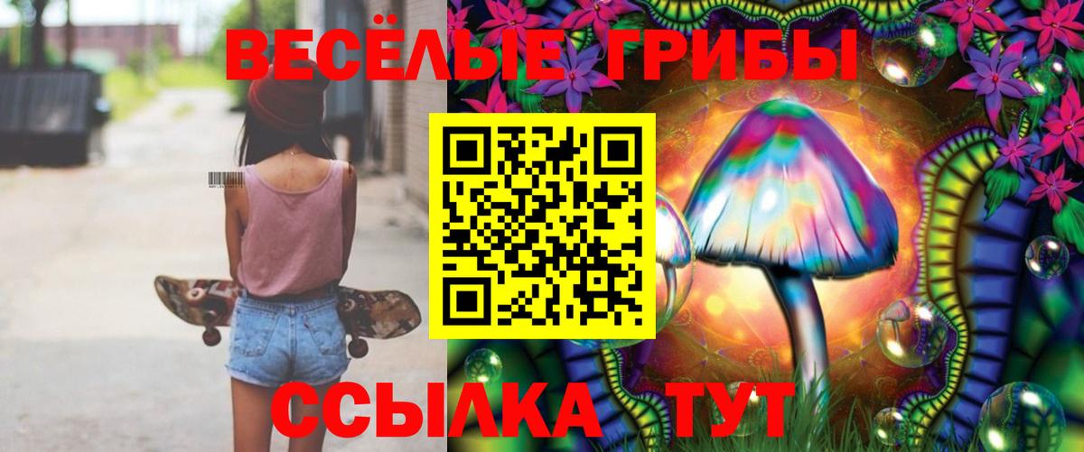 Псилоцибиновые грибы Psilocybine cubensis Петропавловск-Камчатский