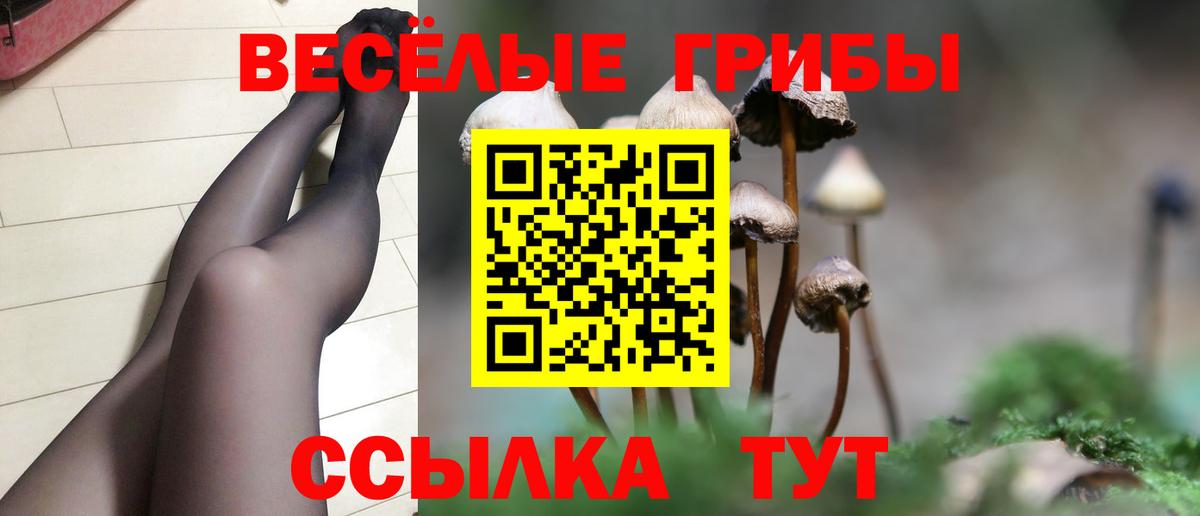Псилоцибиновые грибы Magic Shrooms  Псилоцибиновые грибы MAGIC MUSHROOMS  Петропавловск-Камчатский  Вход с VPN 